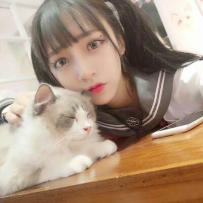盗墓修真最新版下载